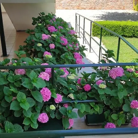 Appart hôtel Patelis Poúlithra
