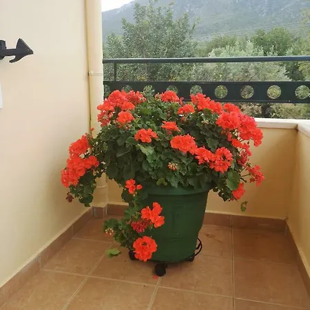 Patelis Appart hôtel Poúlithra