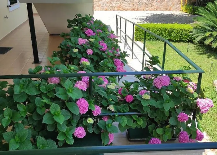 מלון דירות Patelis Poúlithra