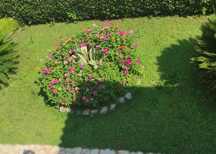 Patelis Πούλιθρα