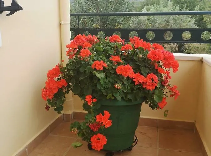 Patelis Aparthotel Poúlithra