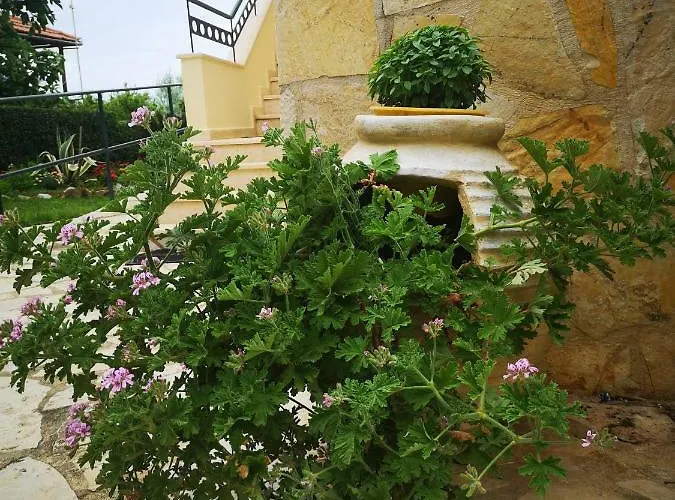 Patelis Aparthotel Poúlithra