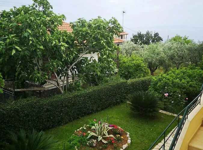 Patelis 3* Poúlithra