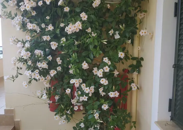 מלון דירות Patelis 3*